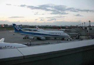 こっちは福岡空港。。飛行機がウジャウジャ。。汗