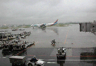 これは羽田空港。大雨降ってるし。。